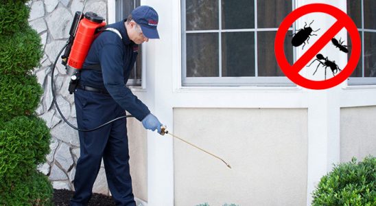 Gönen Gümüşkurt İlaçlama böcek ilaçlama ve haşere kontrolü — ilaclama-tr.com